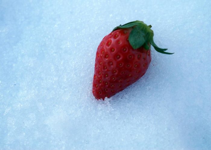 Eisig: Kalte Erdbeere