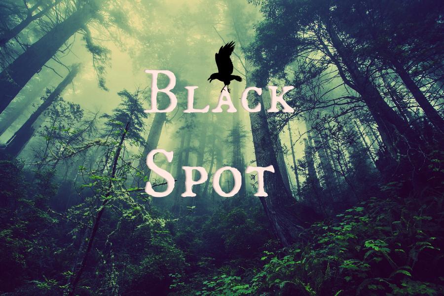 Black Spot Kritik