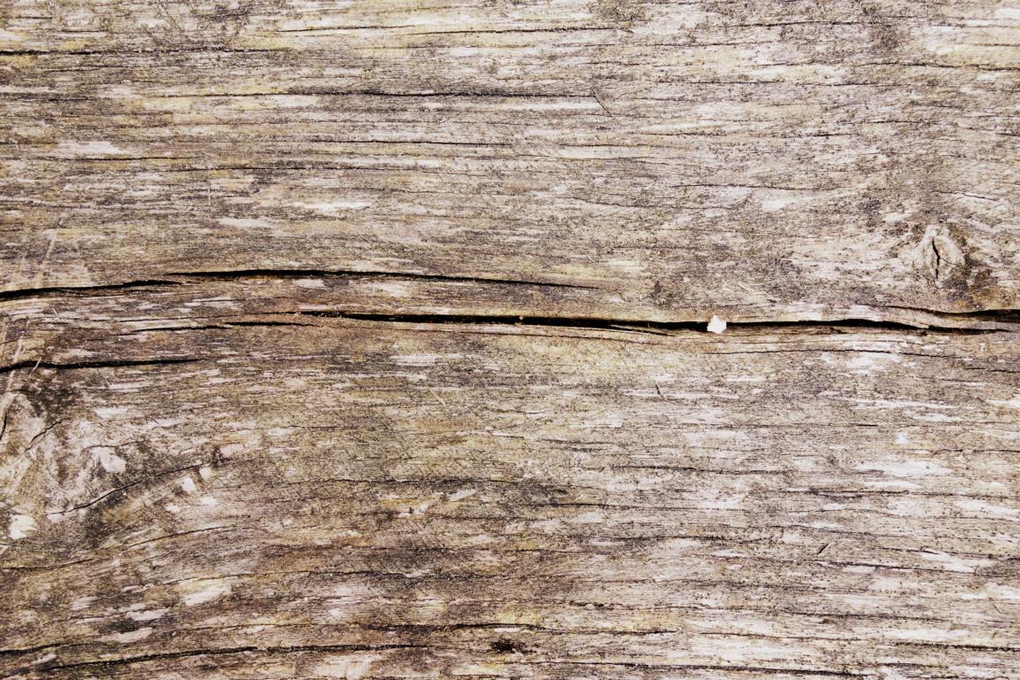Oberfläche: Holz