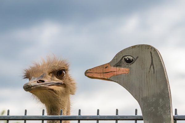 Unnützes Wissen, Doppelausgabe