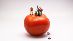 Kuriose Erfindungen: Tomatenschmerzmesser